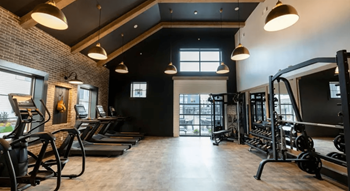 A gym with treadmills, weights, and exercise machines.